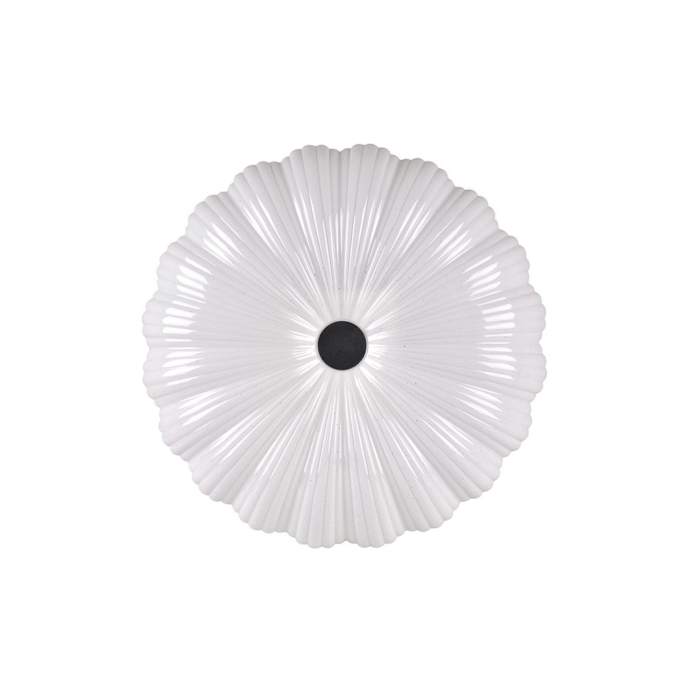 Pakabinamas šviestuvas EVORA (2)