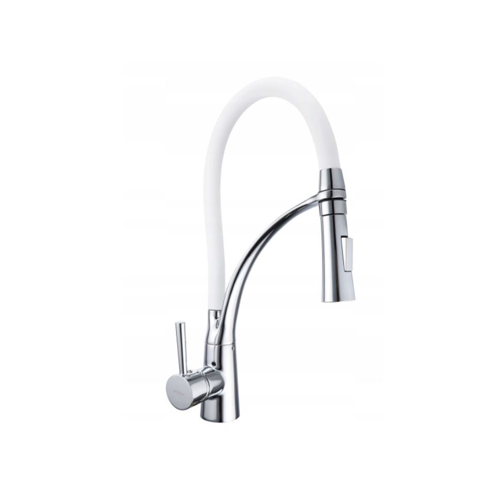 Virtuvės maišytuvas ASTER (1)