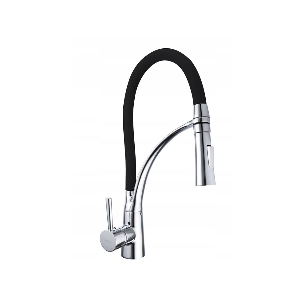 Virtuvės maišytuvas ASTER SILVER (1)